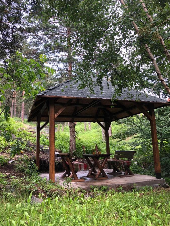 Veselica Villa Divčibare Buitenkant foto